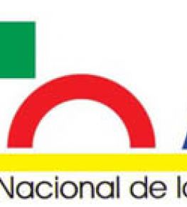 Becas Formación, del Fondo Nacional de las Artes