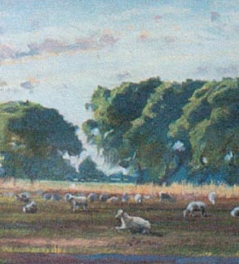 La pampa