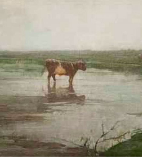 Lluvia en Tristán Suárez