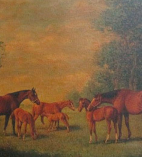 Caballos