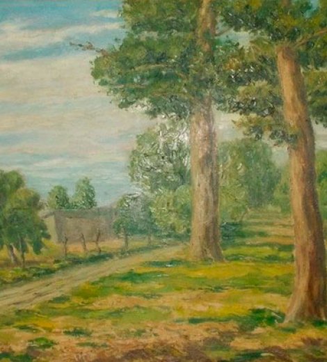 Paisaje de campo