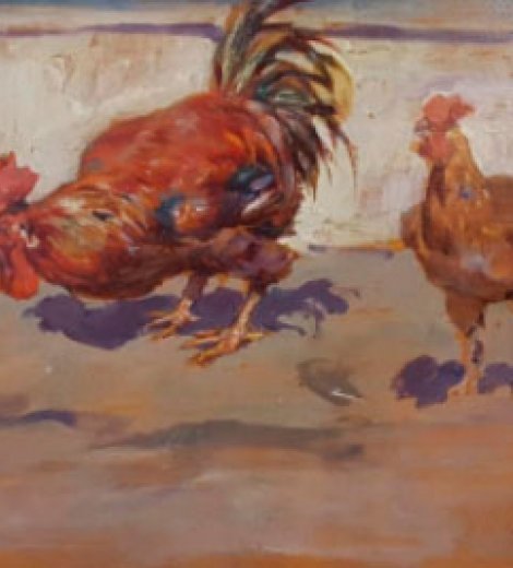 Gallo y gallina