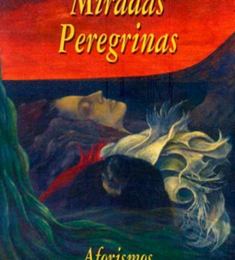 Miradas peregrinas